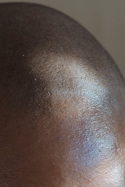Detailed close-up image showing texture and reflection on a bald head.